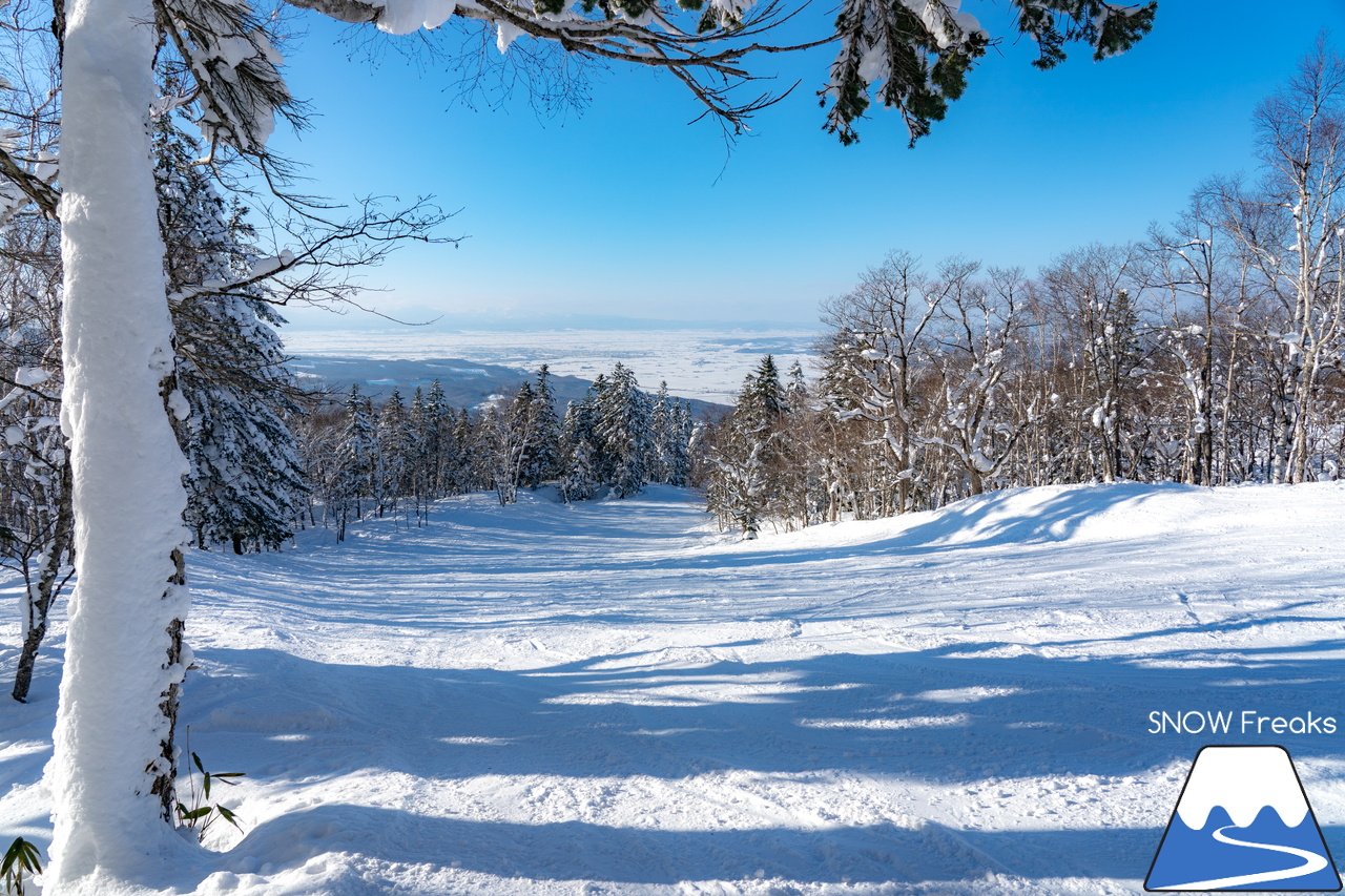 カムイスキーリンクス｜2024年の初滑りは、積雪豊富でコンディション抜群。日本最北のゴンドラリフトがある、旭川市のカムイスキーリンクスへ！